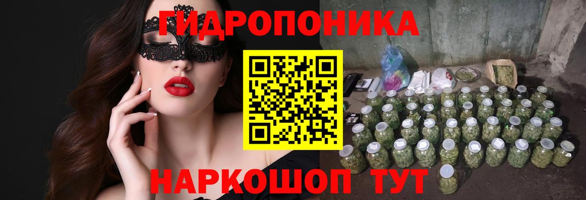 Кетамин  Славянск-на-Кубани  Вход с VPN  А ПВП СК   Гашиш  Мефедрон кристаллы  Конопля 